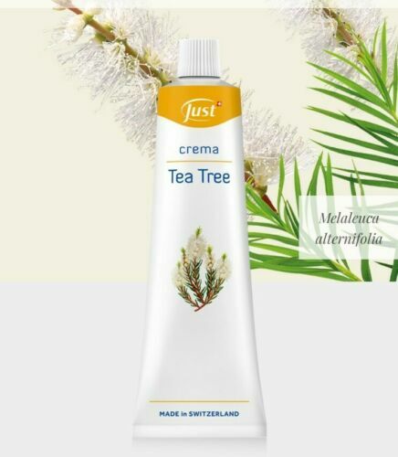 Crema tea tree just pronta - tea,